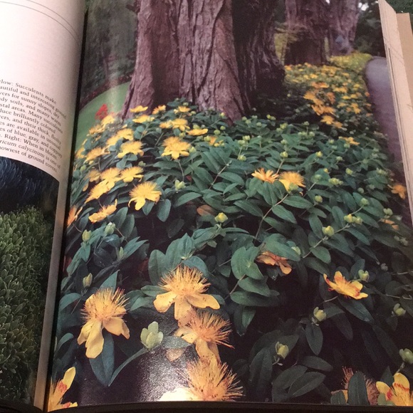 Ortho’s Complete Guide to Successful Gardening Hardcover - Picture 3 of 7